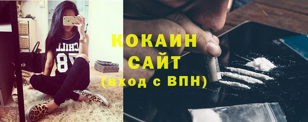 ПСИЛОЦИБИНОВЫЕ ГРИБЫ Абаза