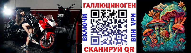 Галлюциногенные грибы Psilocybine cubensis  Назрань 